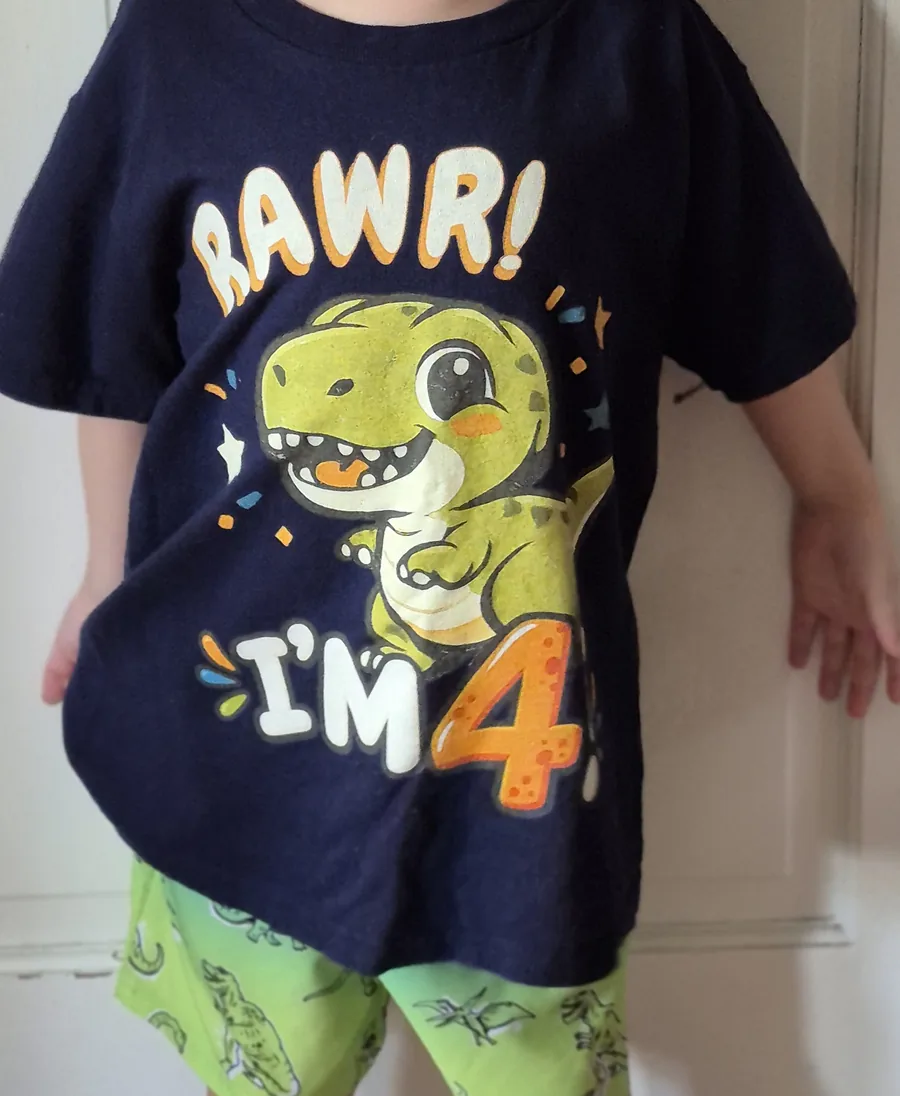 Cropped smile and Rawr I'm 4 dinosaur birthday shirt